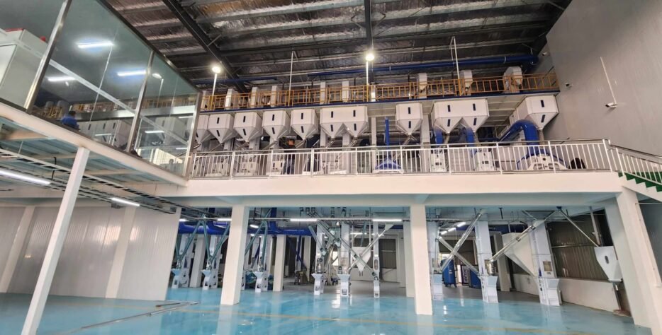 GreenGroup offers custom packaging and private labeling solutions for businesses looking to promote their brand. We provide a wide range of materials, including jute, cotton, polypropylene, polythene, and vacuum packs, in sizes from 1kg to 50kg. Our packaging solutions not only maintain freshness and aroma but also enhance the visual appeal of your products for retail and export markets.