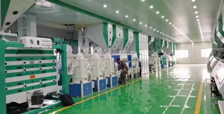 We specialize in the processing of premium Basmati and Non-Basmati rice using state-of-the-art milling technology. From husking to polishing, every step is carefully monitored to ensure optimal grain length, texture, and aroma. Our advanced color sorting and grading systems guarantee uniform quality, free from impurities and discolored grains, making our rice ideal for both retail and bulk export markets.