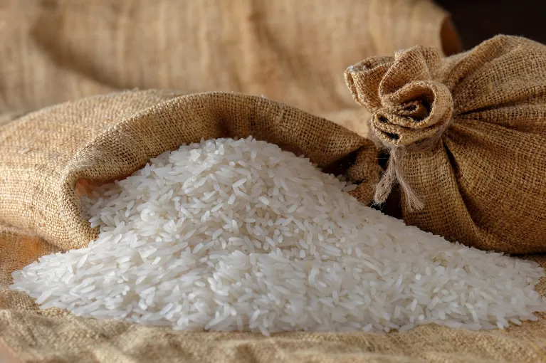irri-9-long-grain-rice